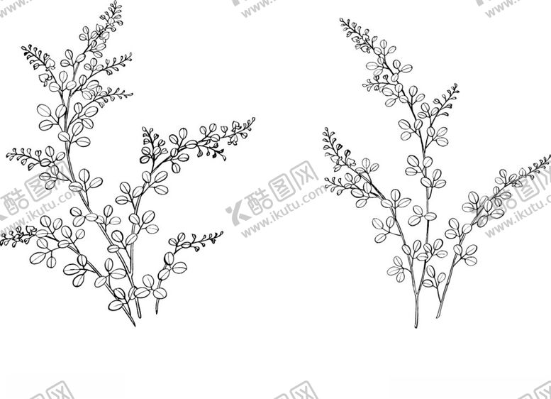 编号：40536010281433066402【酷图网】源文件下载-日本线描植物花卉矢量素材