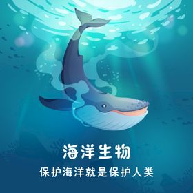 海洋生物