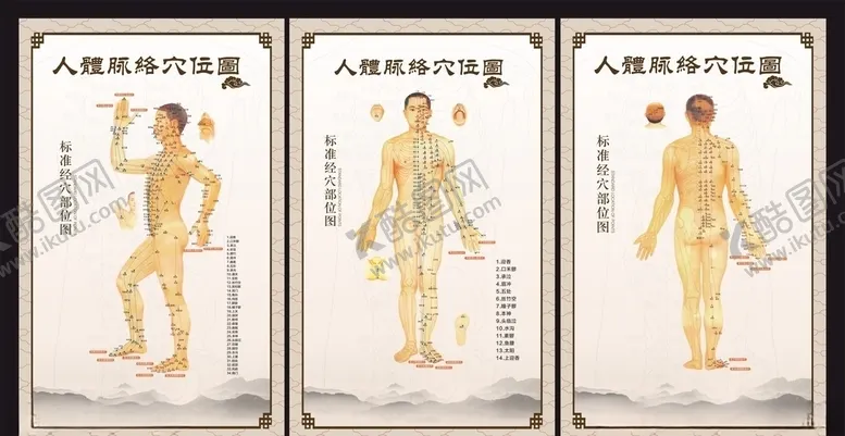 编号：38037709241254463168【酷图网】源文件下载-穴位图