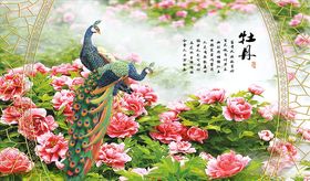 花鸟画孔雀背景墙