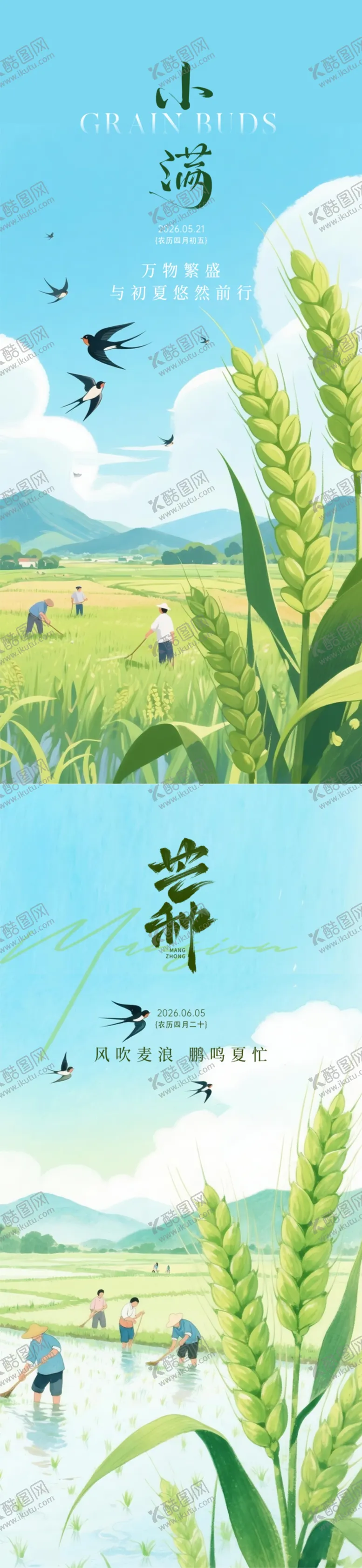 编号：44892405222349217656【酷图网】源文件下载-小满芒种节气海报