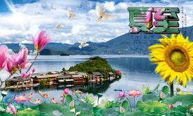 二十四节气夏至展板设计