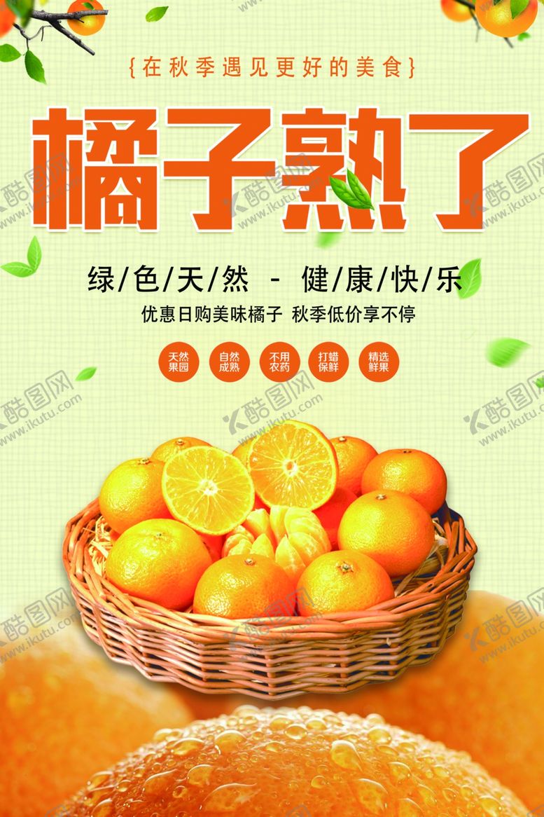 编号：48328001271103476062【酷图网】源文件下载-橘子