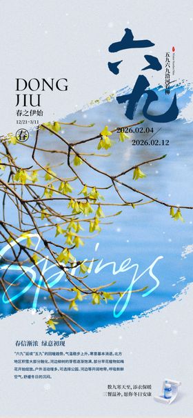 海豚伴花枝的梦幻场景