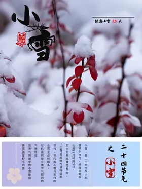小雪节气红果堆人