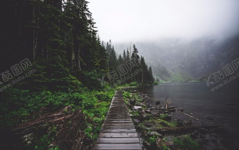 编号：82448909270702122368【酷图网】源文件下载-森林