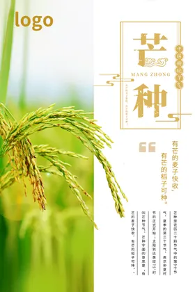 芒种海报