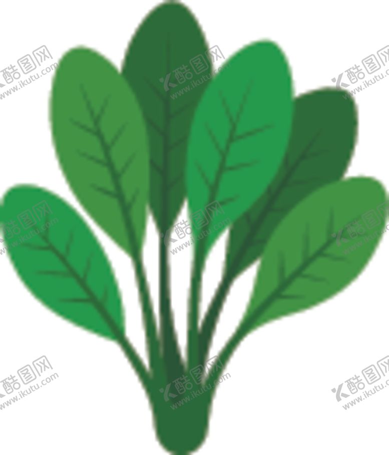 编号：66330209200446247926【酷图网】源文件下载-青菜