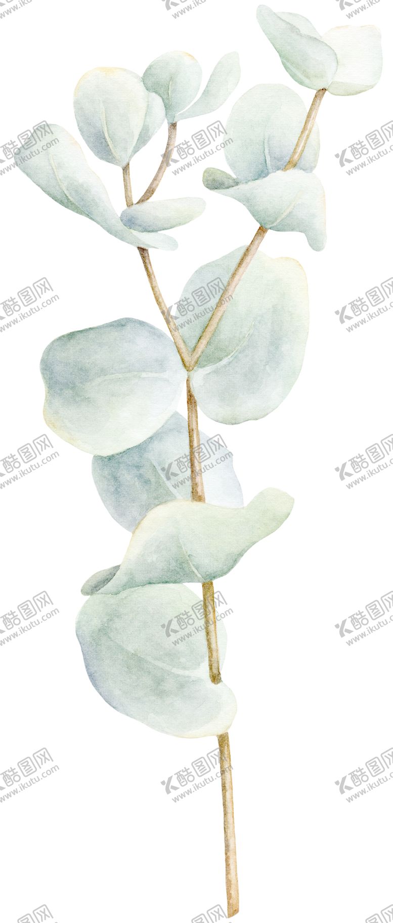 编号：67741109271221419654【酷图网】源文件下载-绿色装饰