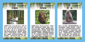 珍稀野生保护动物