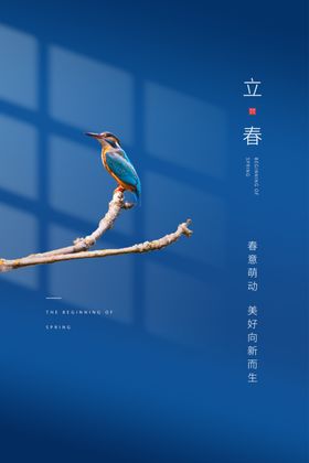 立春