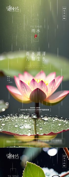 雨水节气系列海报