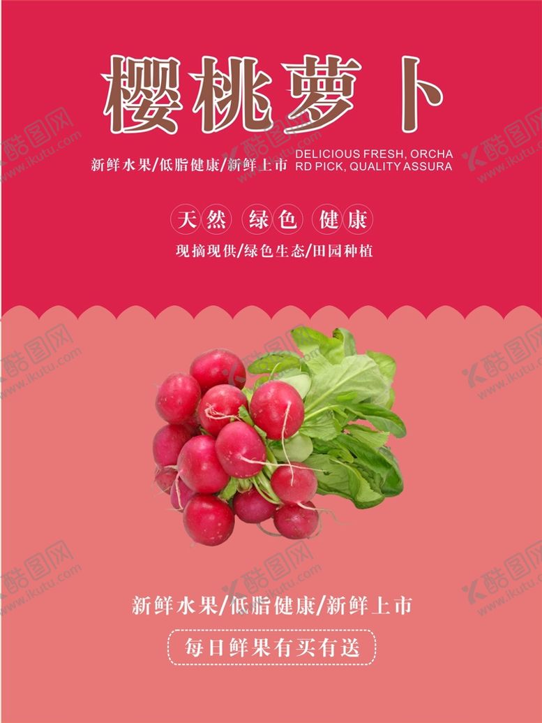 编号：21187902041352319921【酷图网】源文件下载-樱桃萝卜海报