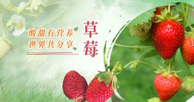 草莓展板