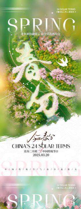 二十四节气春分龙抬头宣传海报