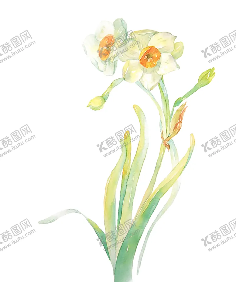 编号：40598107010837305933【酷图网】源文件下载-绿色装饰