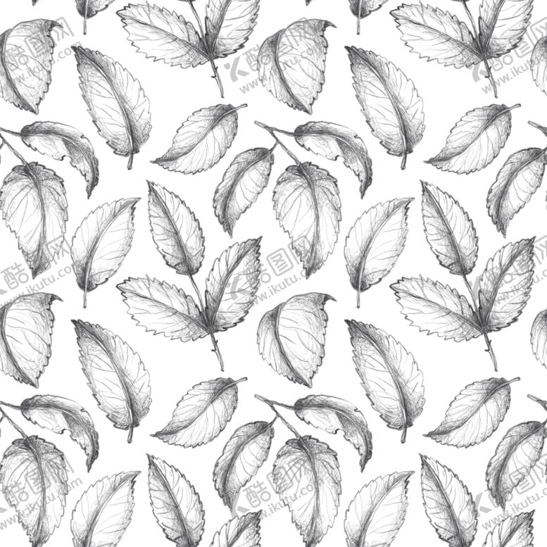 编号：83874510021633176131【酷图网】源文件下载-玫瑰花素描背景