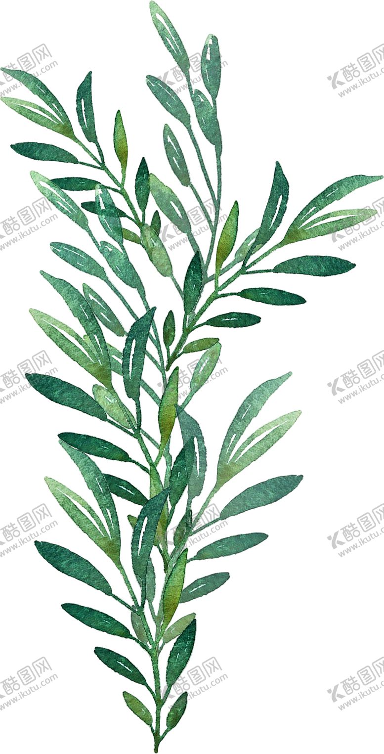 编号：37666310110028235271【酷图网】源文件下载-北欧小清新植物装饰