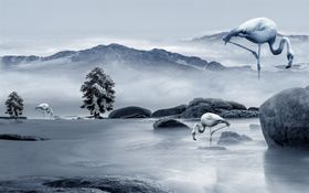 水墨火烈鸟
