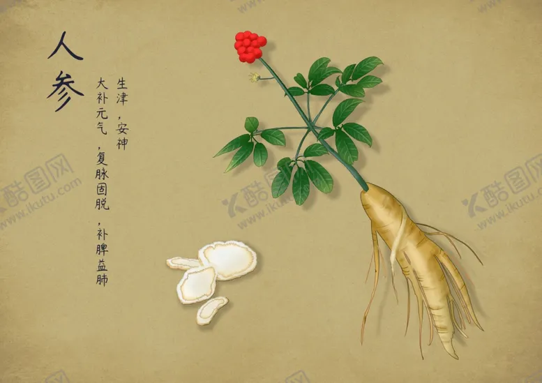 编号：74766402260313123315【酷图网】源文件下载-药材图谱