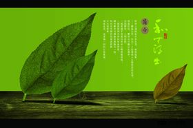 自然雅致清新茶叶简介海报