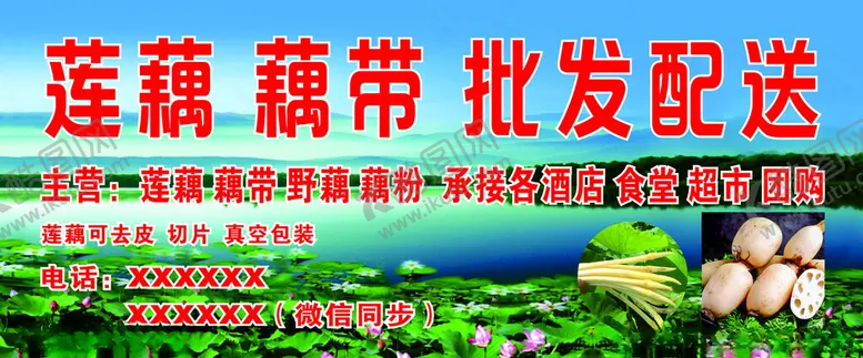 编号：34630612080909102659【酷图网】源文件下载-莲藕批发门头海报