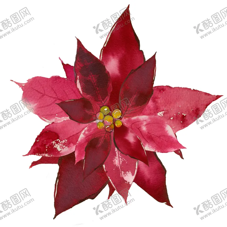 编号：11542101251344093978【酷图网】源文件下载-花卉组合