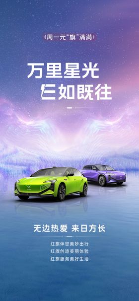 红旗星光电科技汽车翅膀