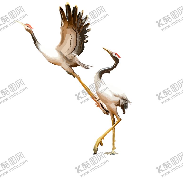 编号：60317101260245418452【酷图网】源文件下载-鹤素材