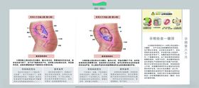 孕妈妈及胎宝宝变化第六个月
