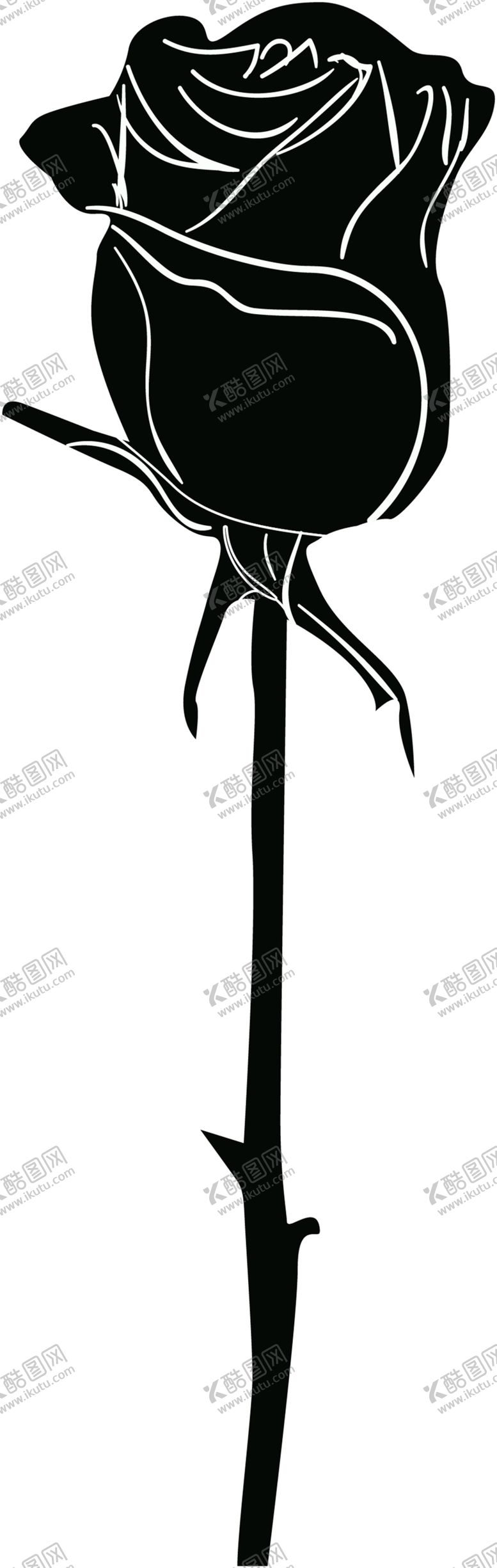 编号：78648109272030246561【酷图网】源文件下载-鲜花素材