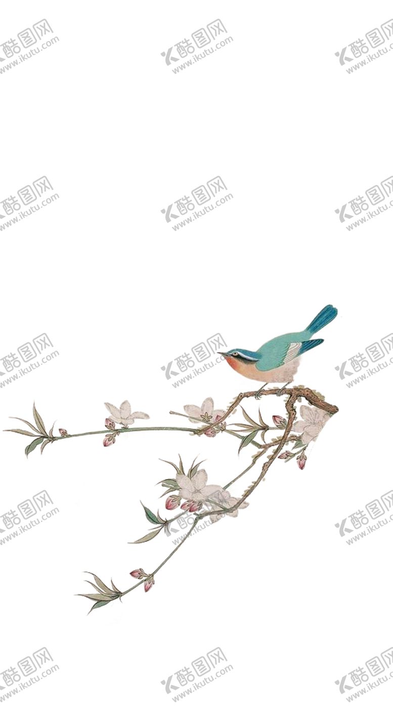 编号：97226505101318588178【酷图网】源文件下载-花枝喜鹊