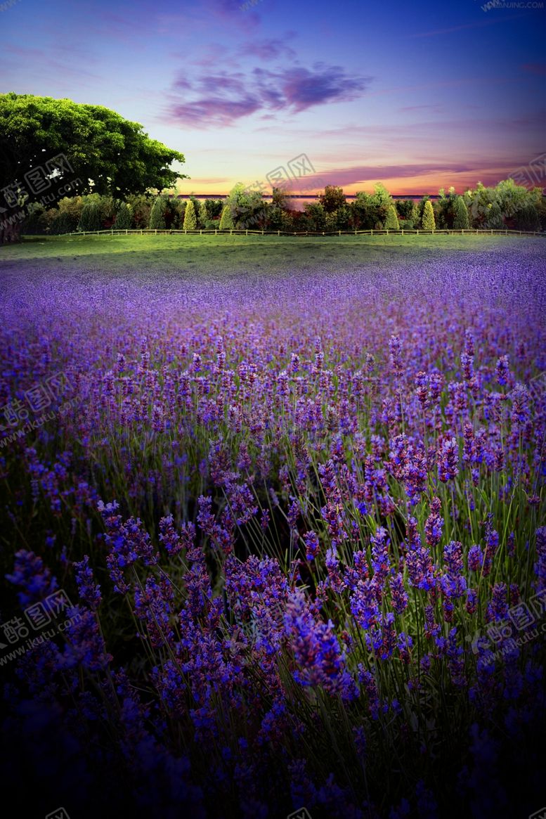 编号：64843509101342146049【酷图网】源文件下载-地产场景