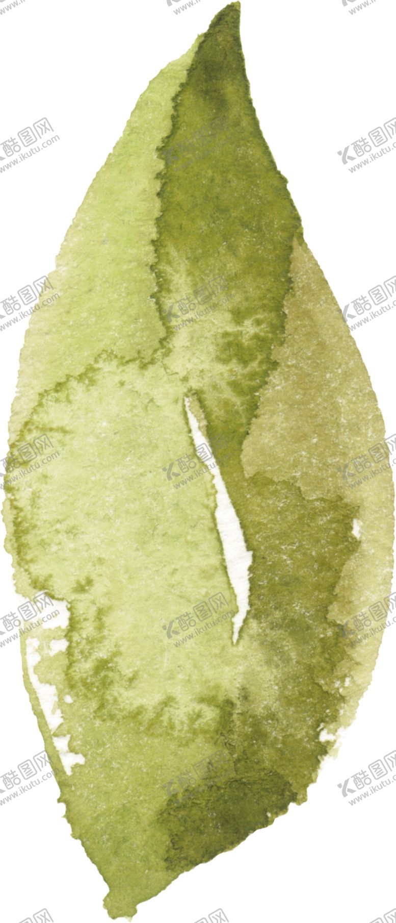 编号：18276309210409446249【酷图网】源文件下载-水彩手绘花卉花朵植物