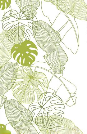 芭蕉叶