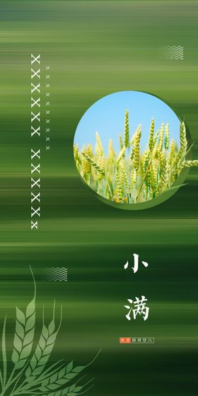 二十四节气小满地产微信单图