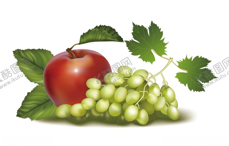 编号：69283210100650038493【酷图网】源文件下载-葡萄苹果水果手绘免抠矢量素