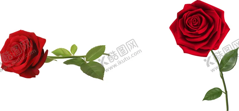 编号：60438710031918259538【酷图网】源文件下载-玫瑰花