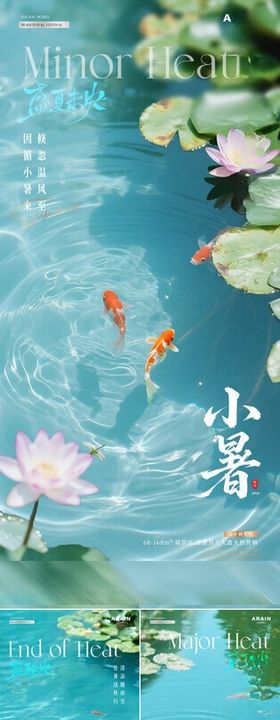 大暑小暑处暑荷花风景海报