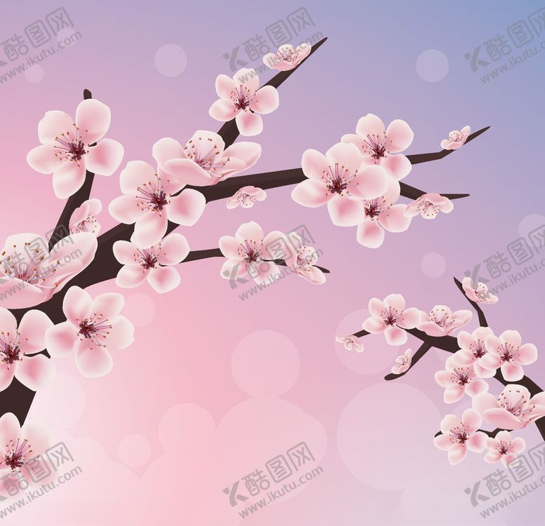 编号：86635907080233324643【酷图网】源文件下载-樱花