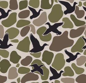 迷彩图案中的飞鸟元素