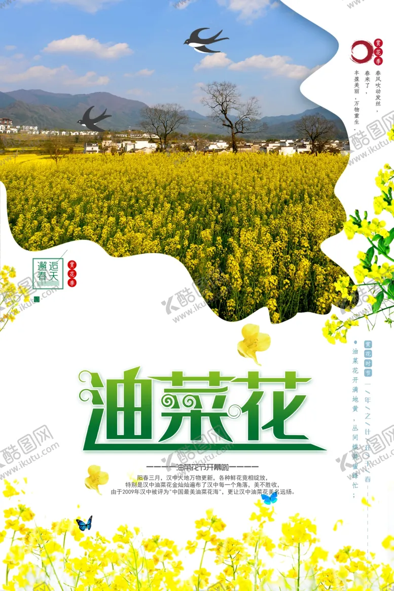 编号：22334503140937354059【酷图网】源文件下载-实景油菜花田油菜花宣传海报