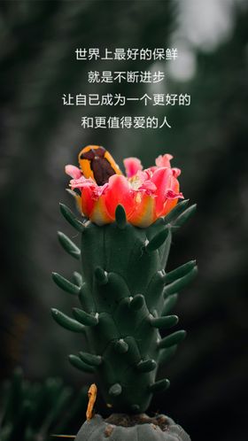 能量海报早安模式