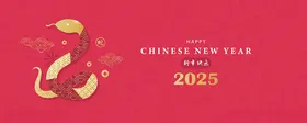 蛇年2025插画灯笼2025乙巳