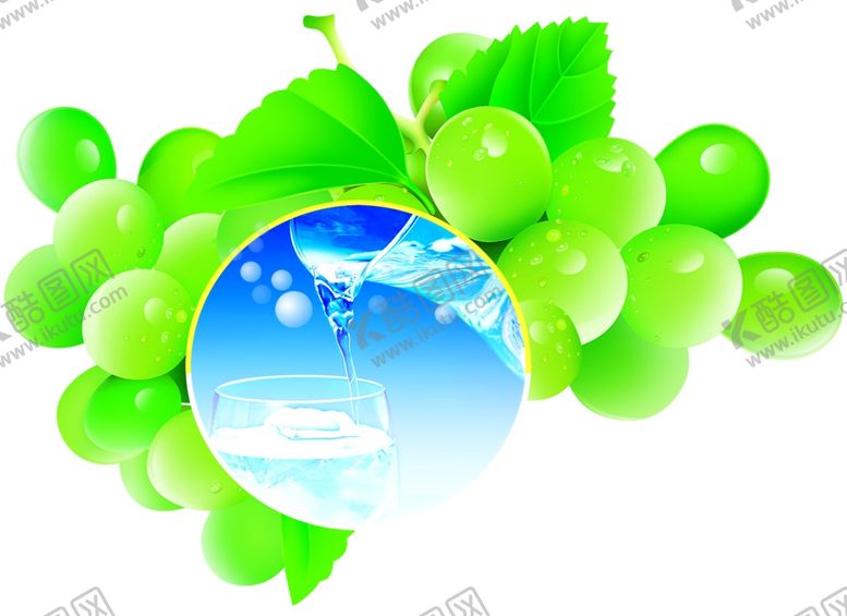 编号：74027610080545117165【酷图网】源文件下载-葡萄