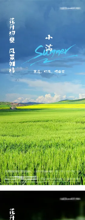 地产立夏小满质感系海报