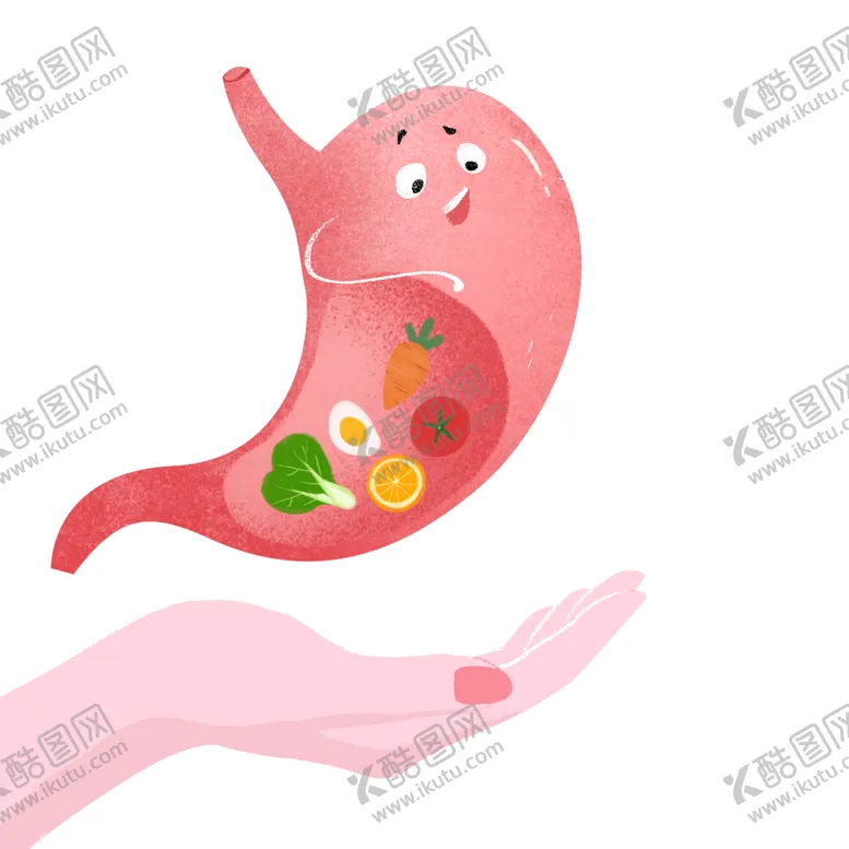 编号：59403306270807492006【酷图网】源文件下载-保护肠胃