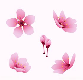 粉色桃花创意图案
