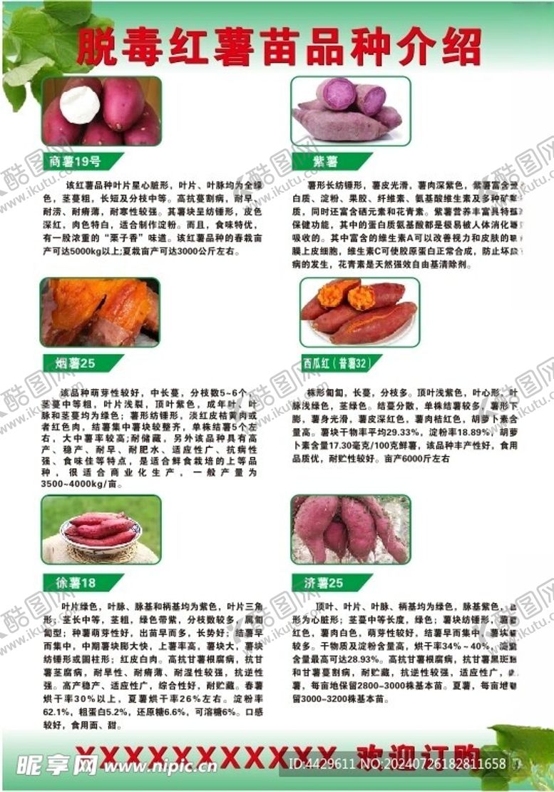 编号：44218502171605408751【酷图网】源文件下载-红薯