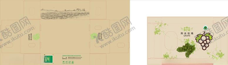 编号：91876410251206446505【酷图网】源文件下载-阳光玫瑰